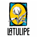 tulipe